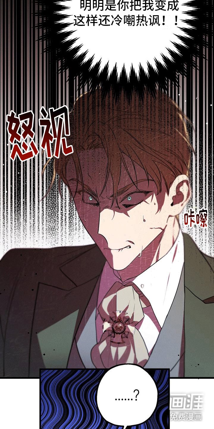 第17章：惯例