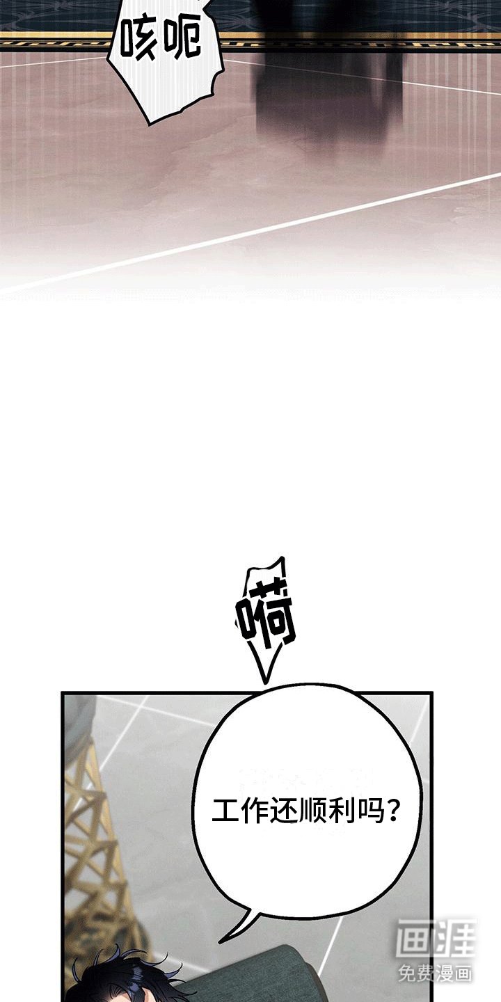 第17章：惯例