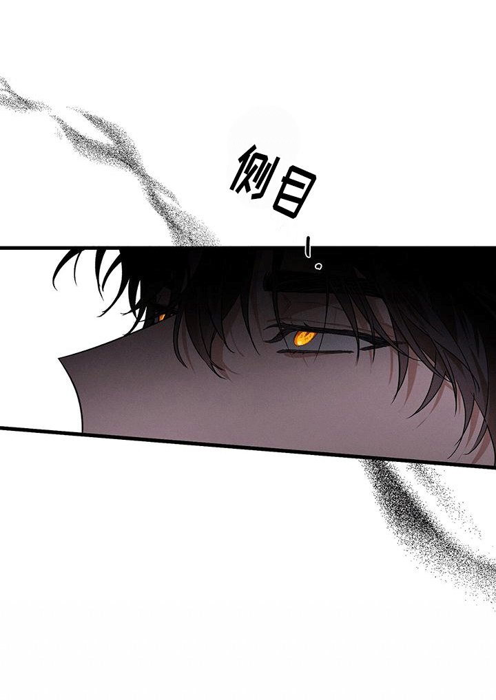 第17章：惯例