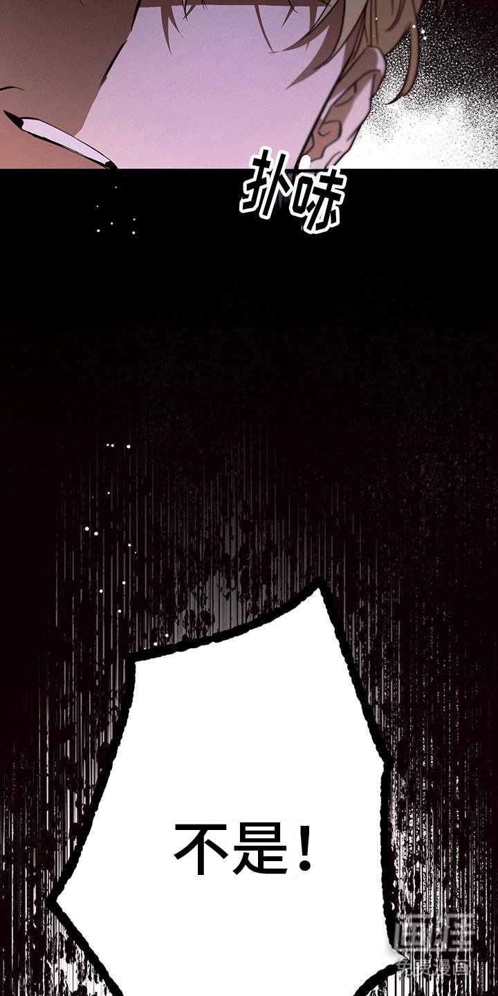 第19章：撺掇