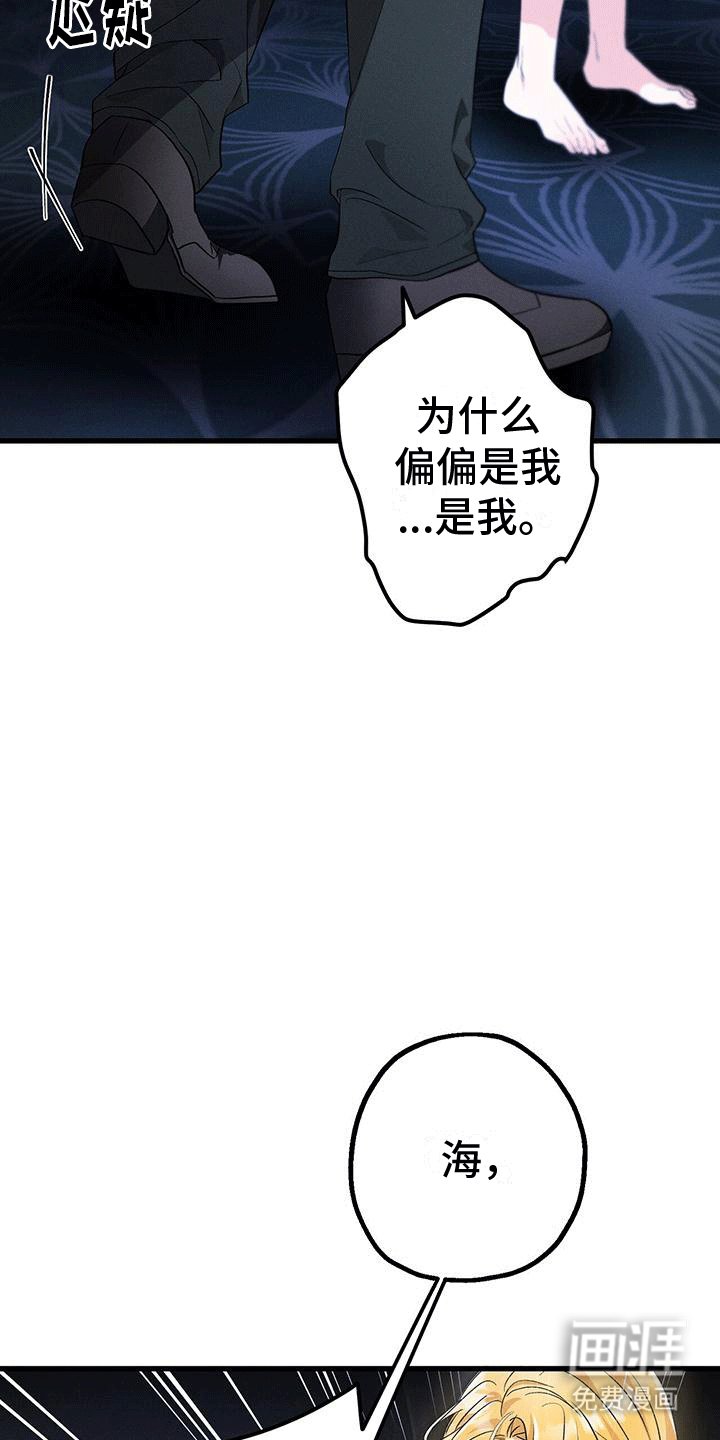 第20章：哥哥逃跑