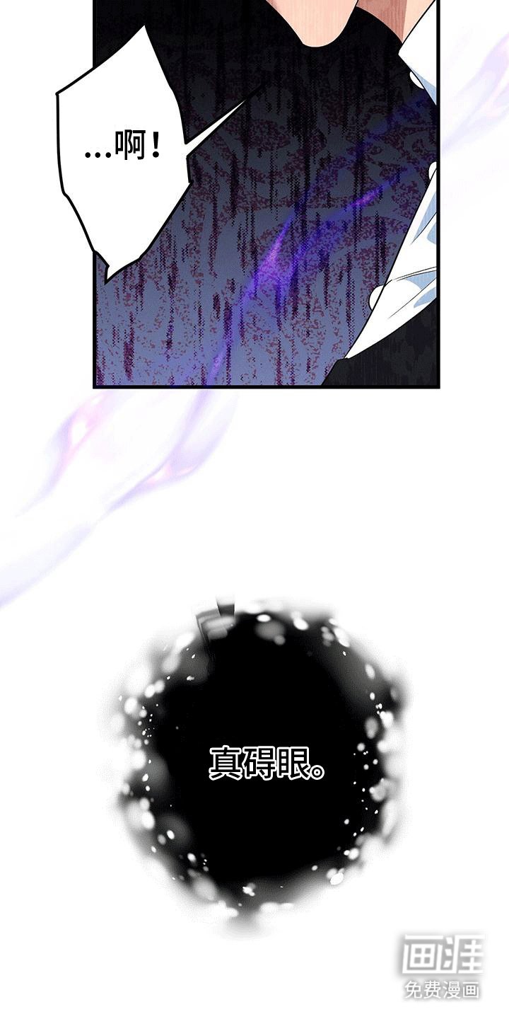 第23章：梅丽夫人