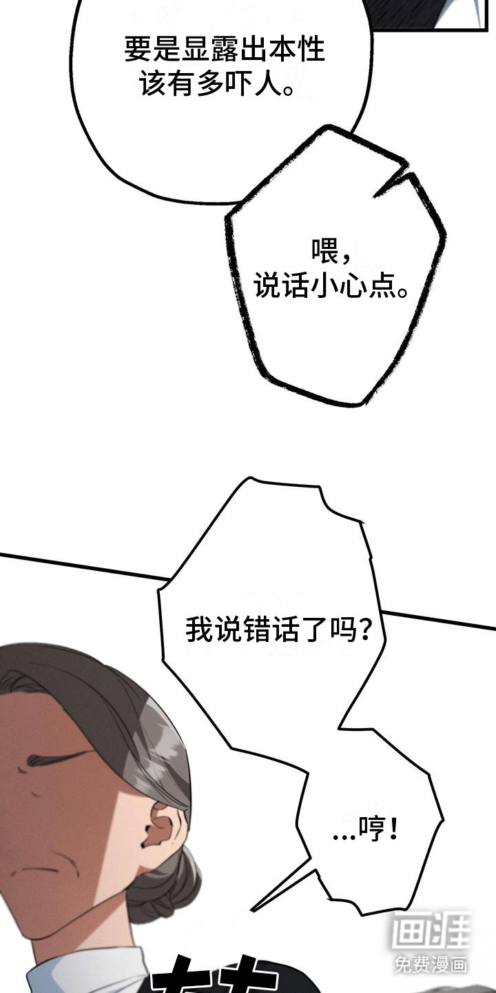 第23章：梅丽夫人