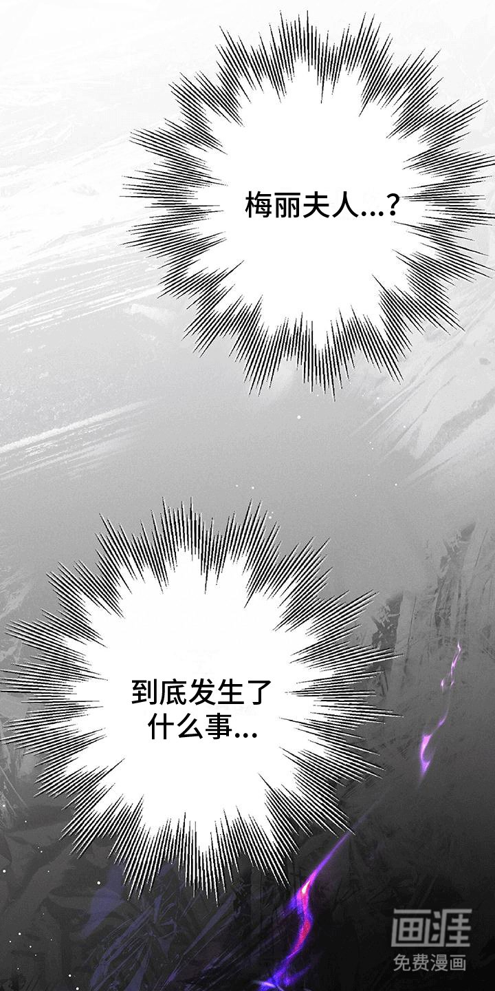 第23章：梅丽夫人
