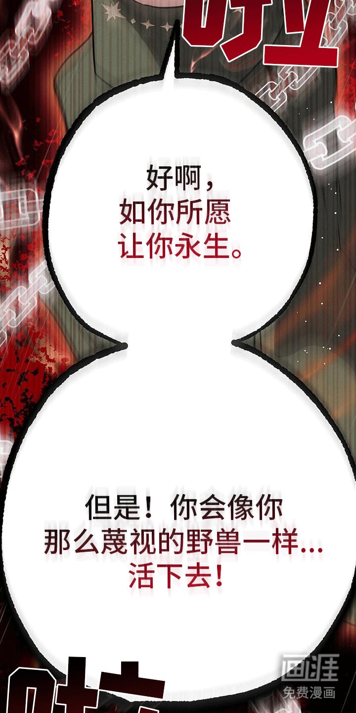 第26章：诅咒