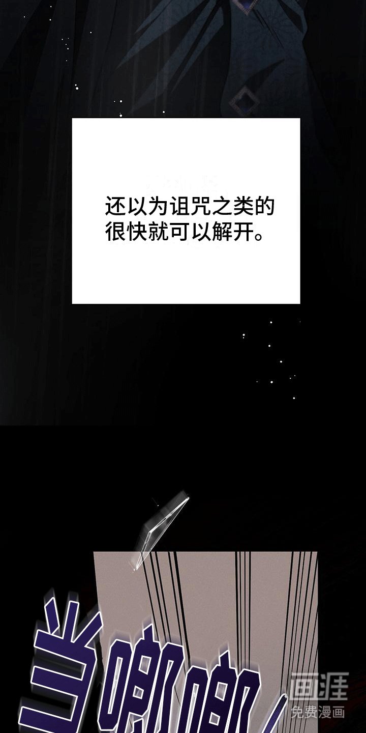 第26章：诅咒