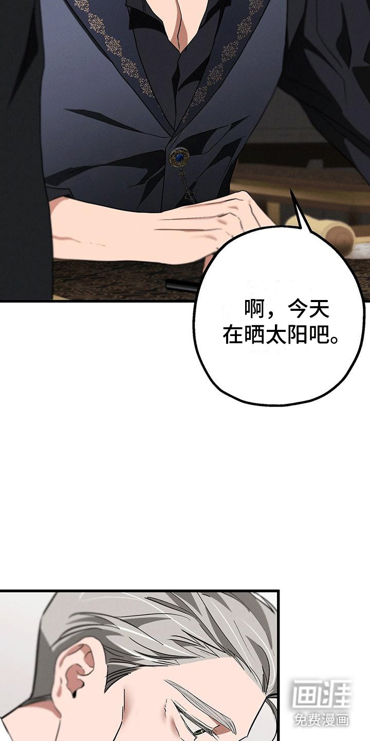 第28章：庭院师