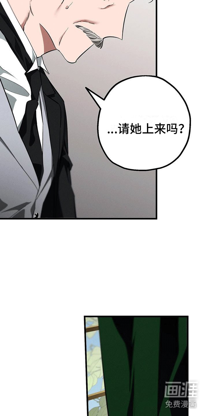 第28章：庭院师