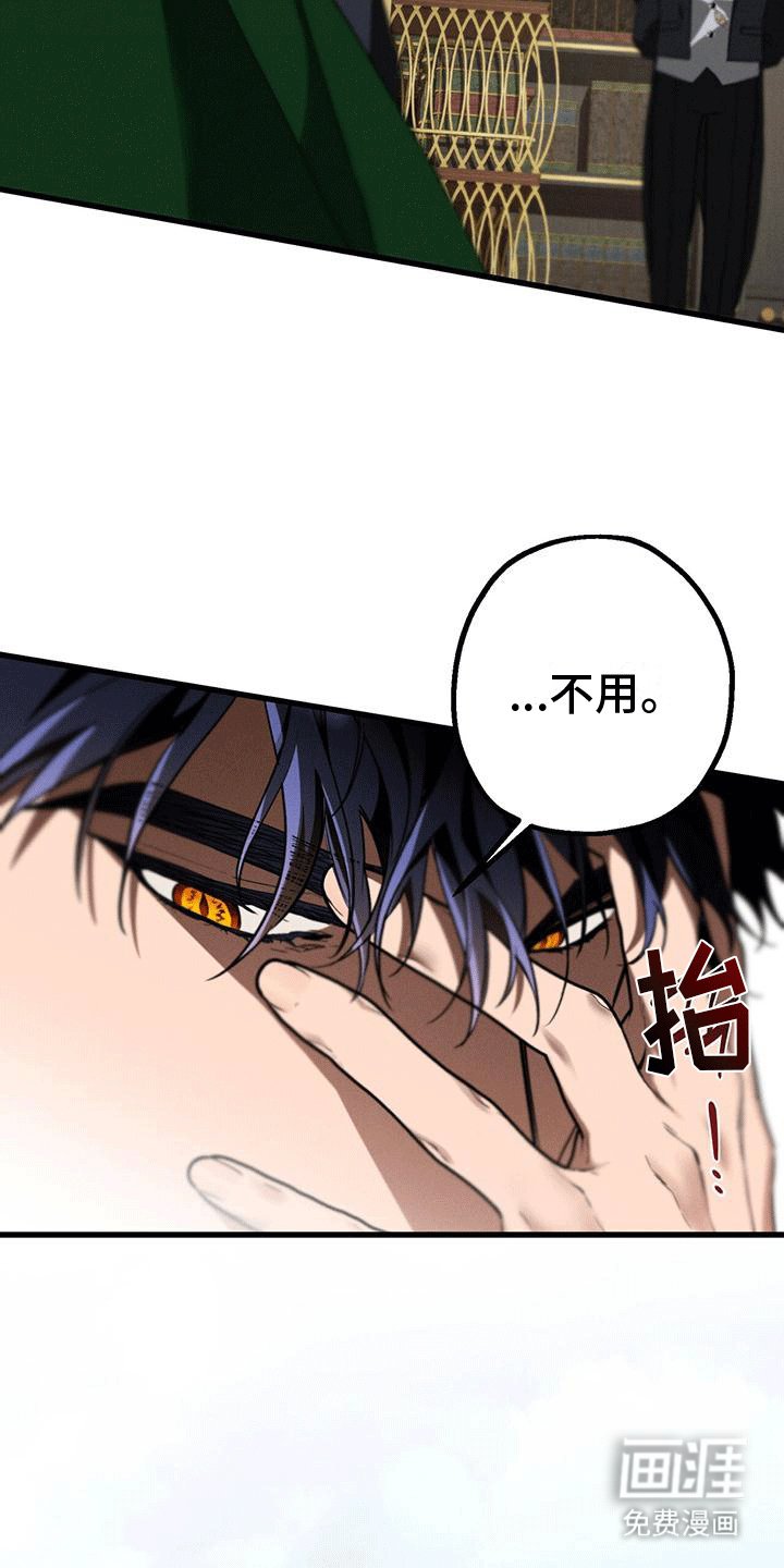 第28章：庭院师
