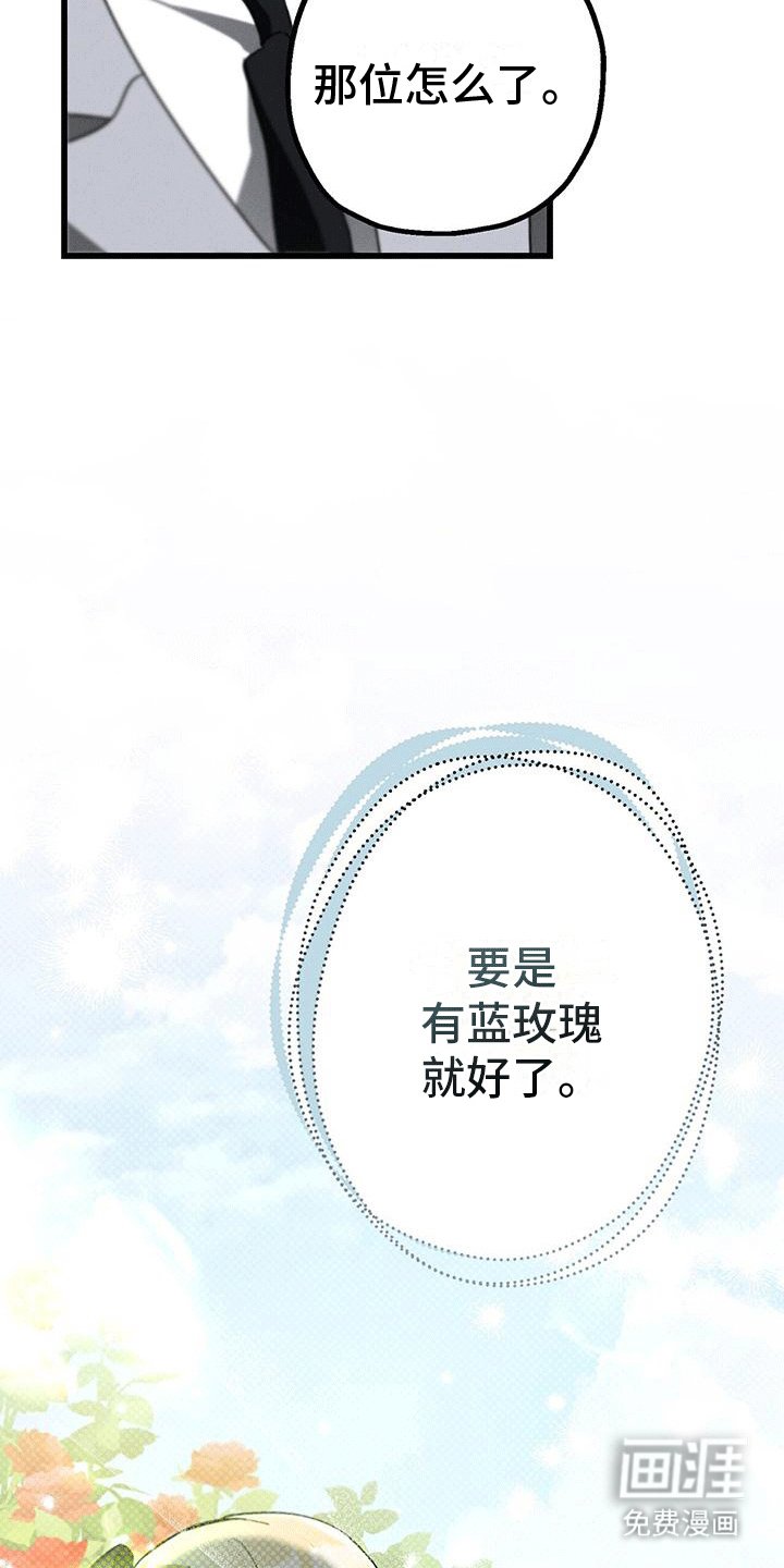 第28章：庭院师