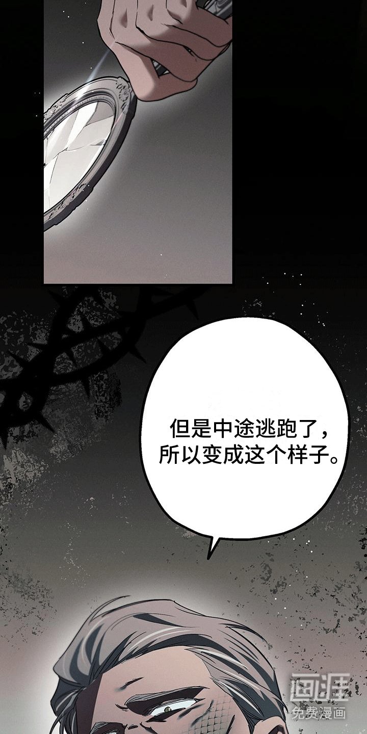 第29章：异变