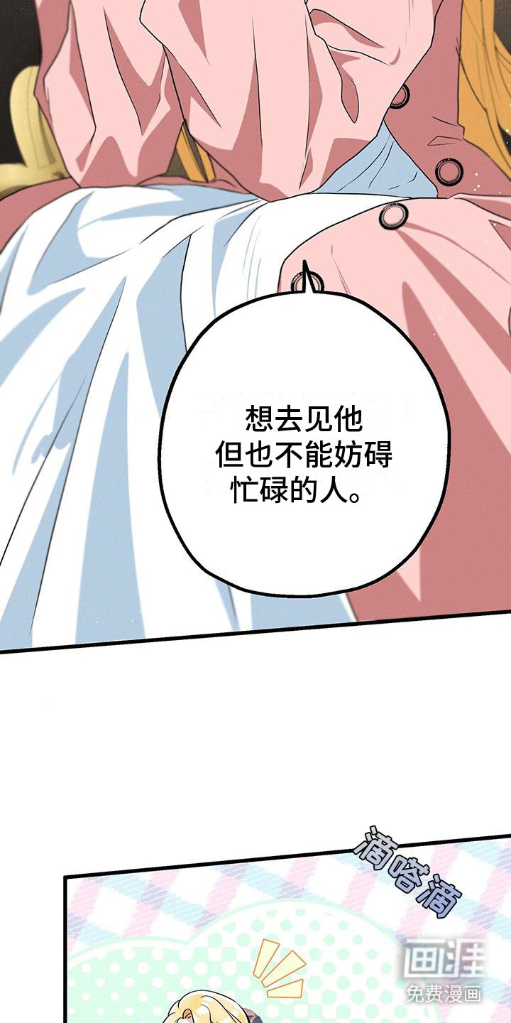 第30章：蓝玫瑰
