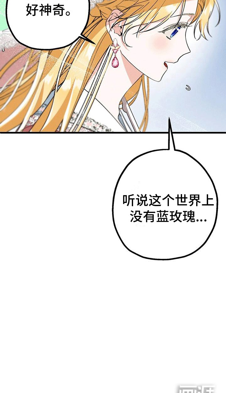 第30章：蓝玫瑰