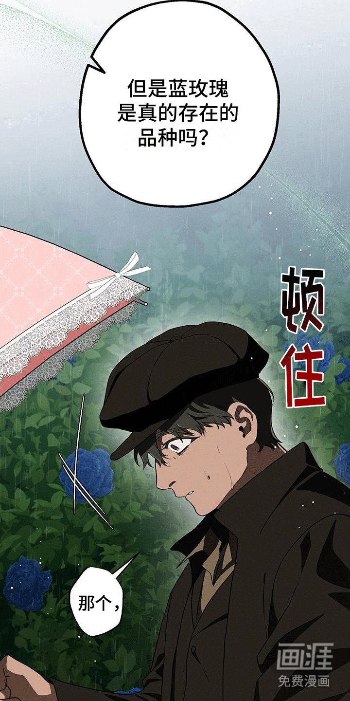 第30章：蓝玫瑰