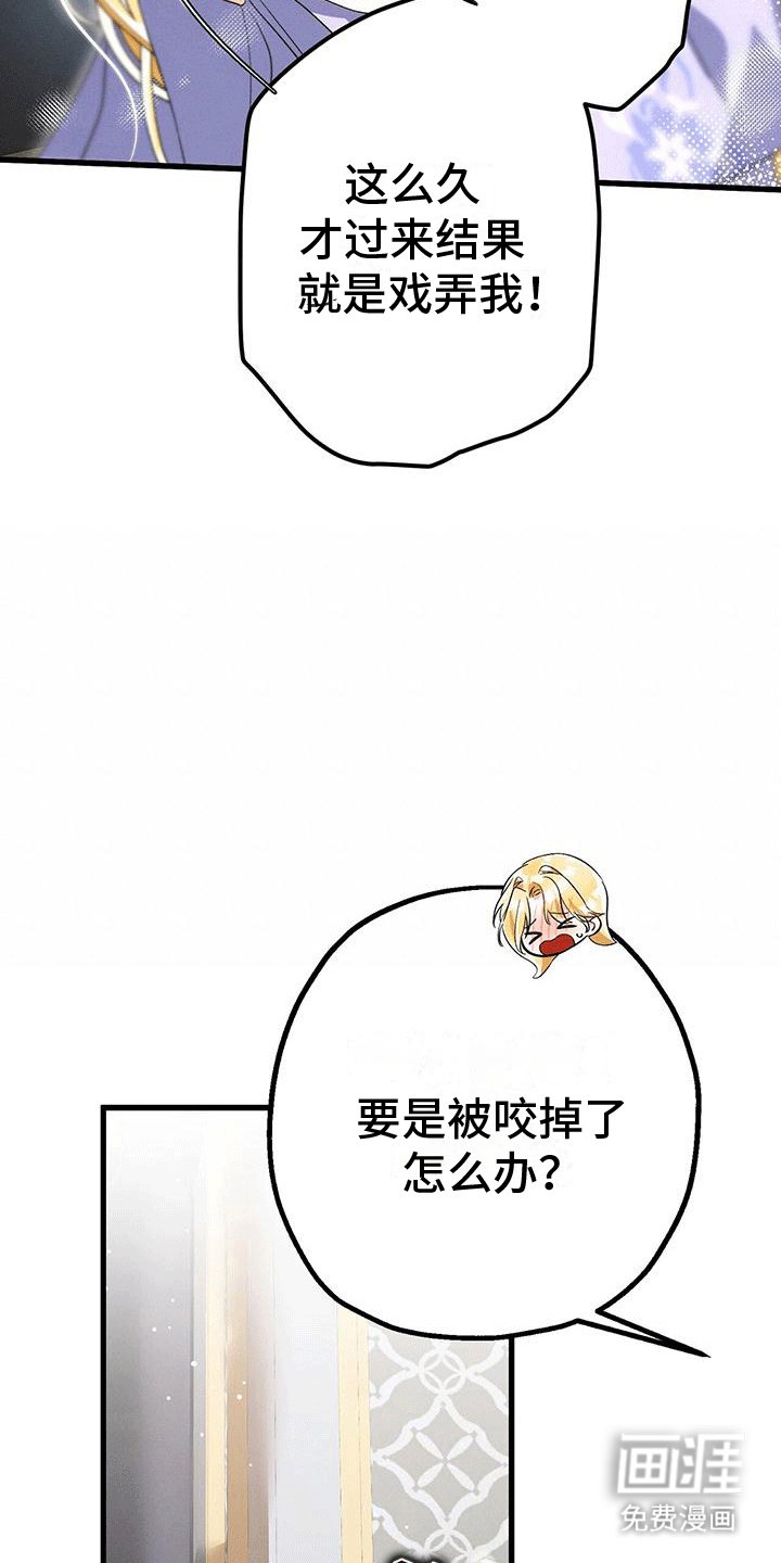 第33章：陪伴