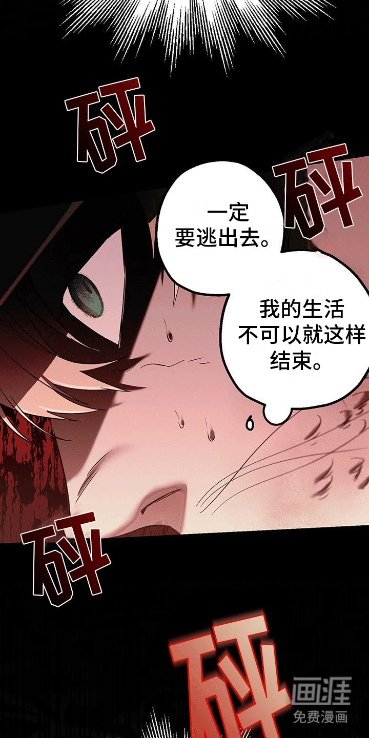 第35章：改名换姓