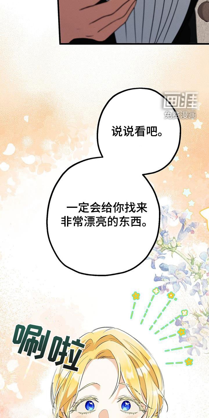 第41章：利用