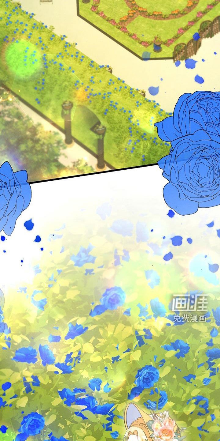 第50章：蓝玫瑰