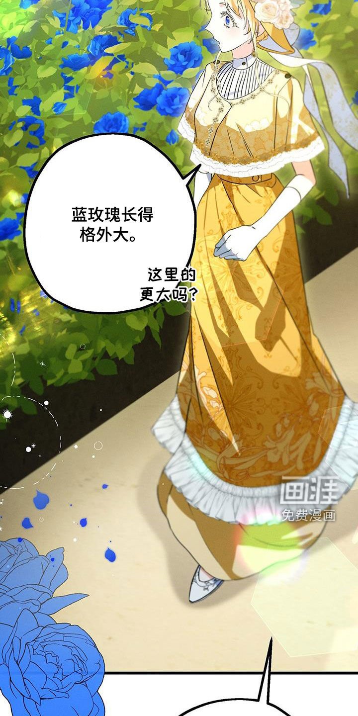 第50章：蓝玫瑰