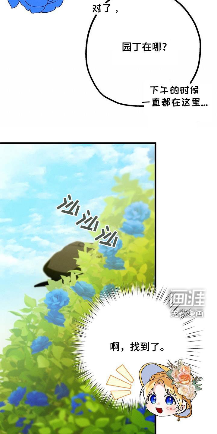 第50章：蓝玫瑰