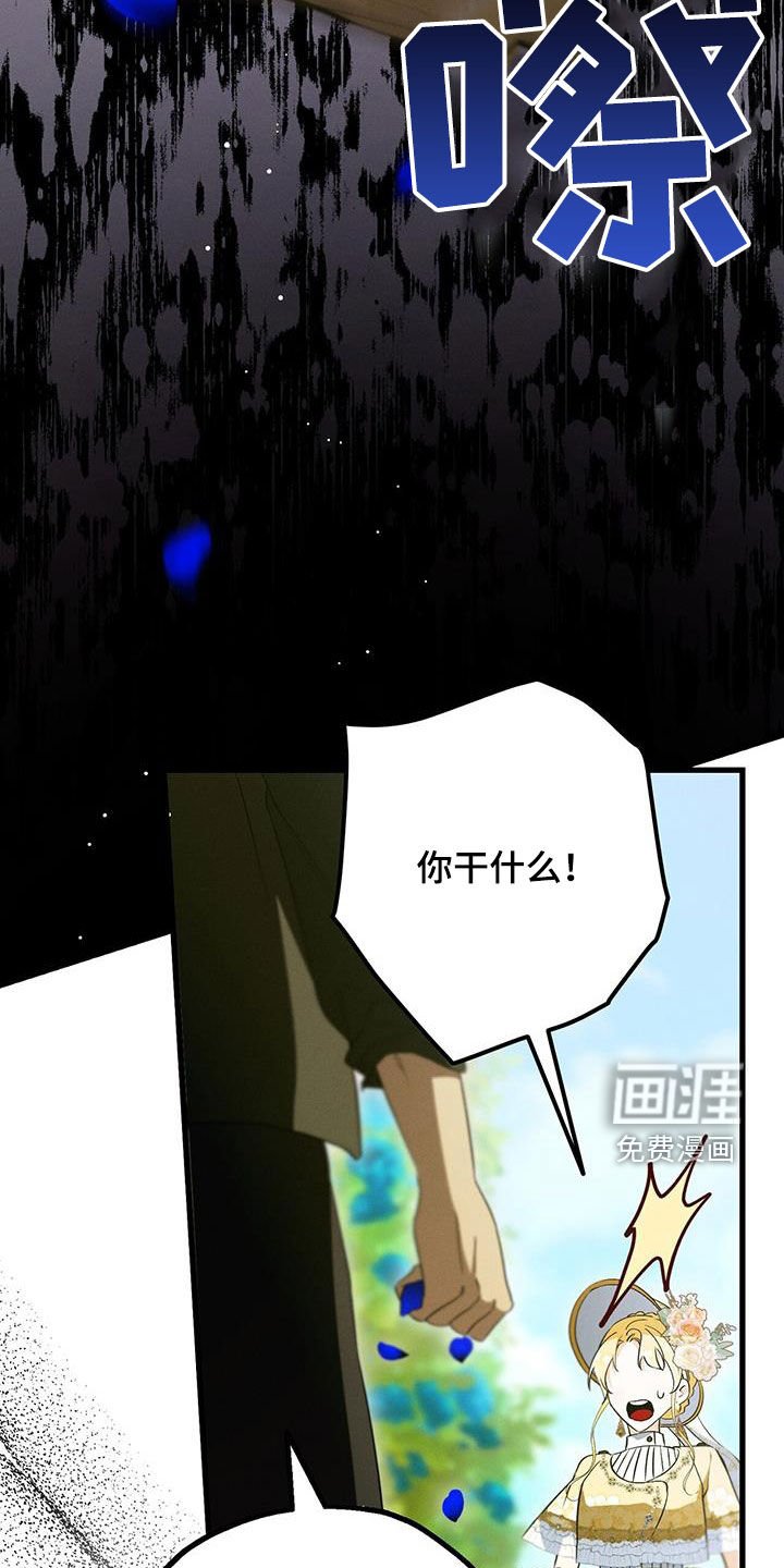 第50章：蓝玫瑰