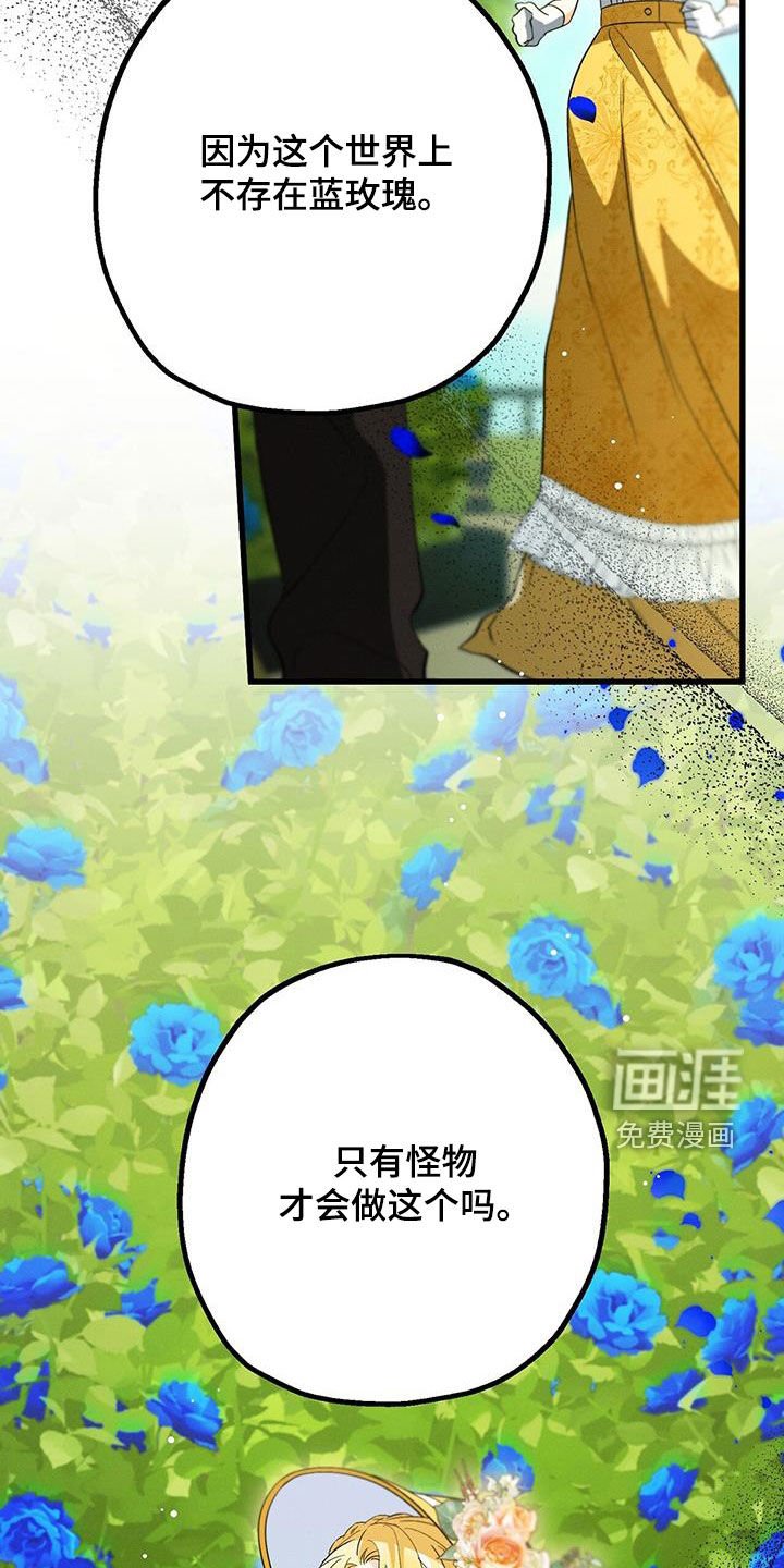 第50章：蓝玫瑰