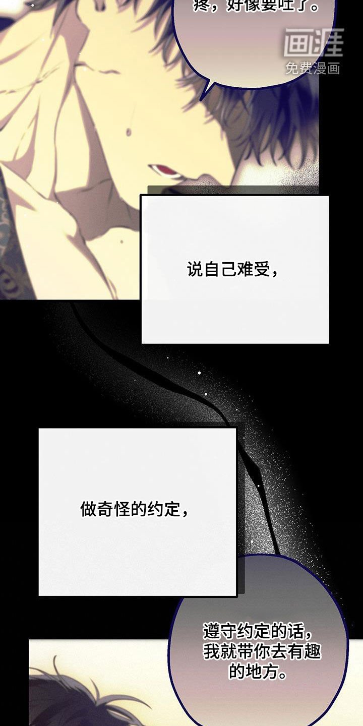 第56章：心意