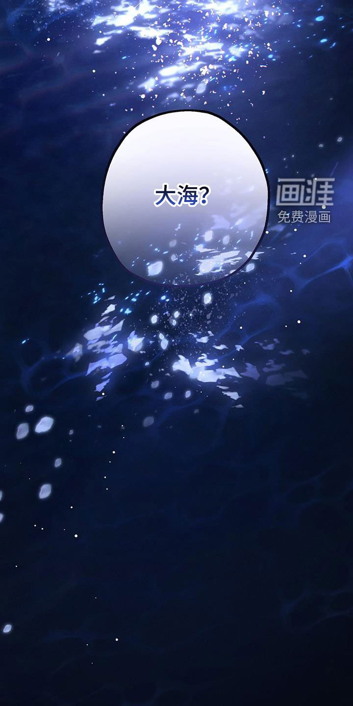 第57章：这是梦吗
