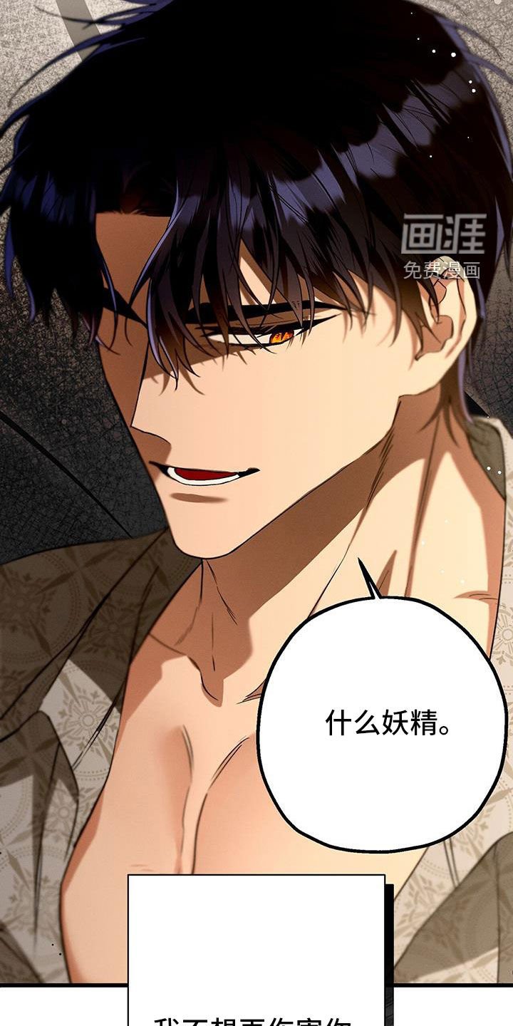 第59章：妖精
