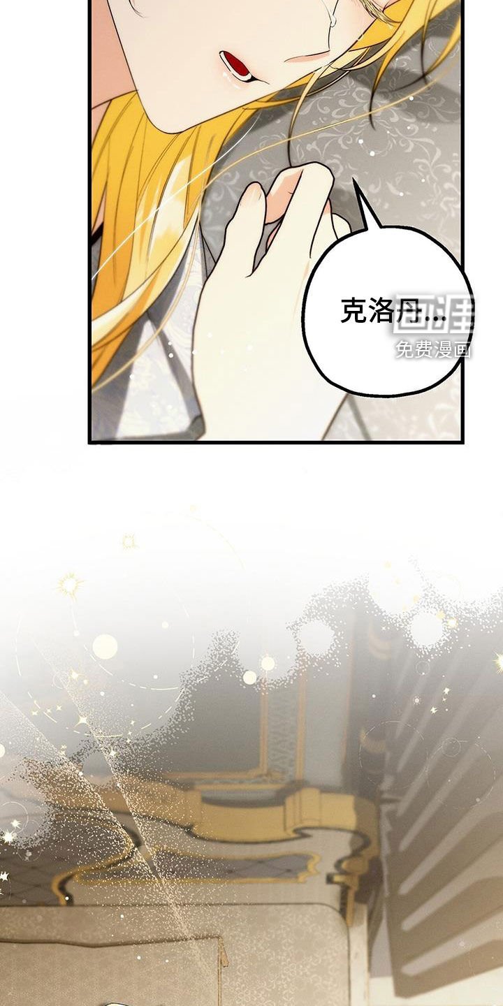 第65章：就是这个