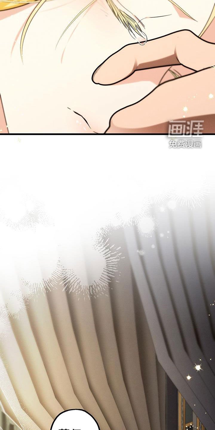 第65章：就是这个
