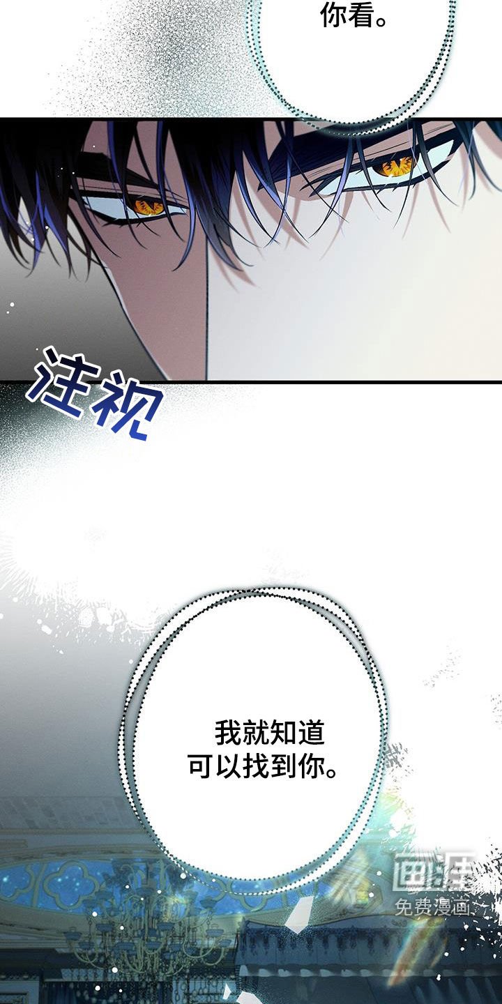 第66章：答案