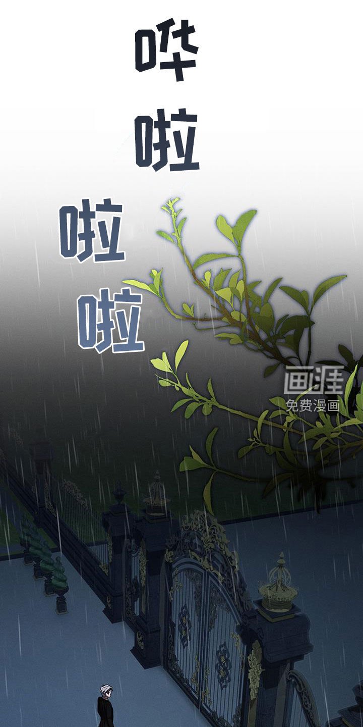 第77章：我要怎么帮你