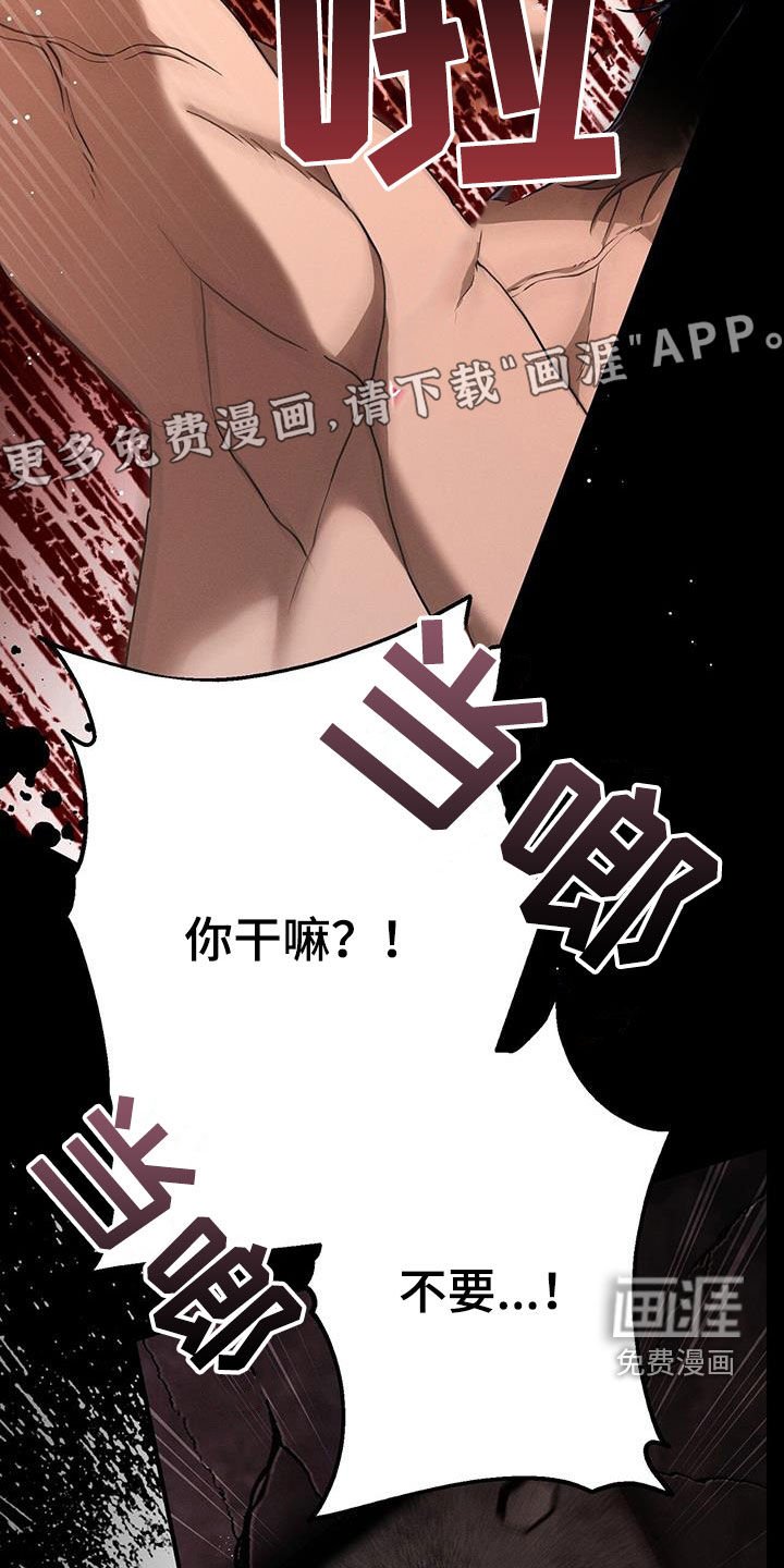 第79章：是不是爱我