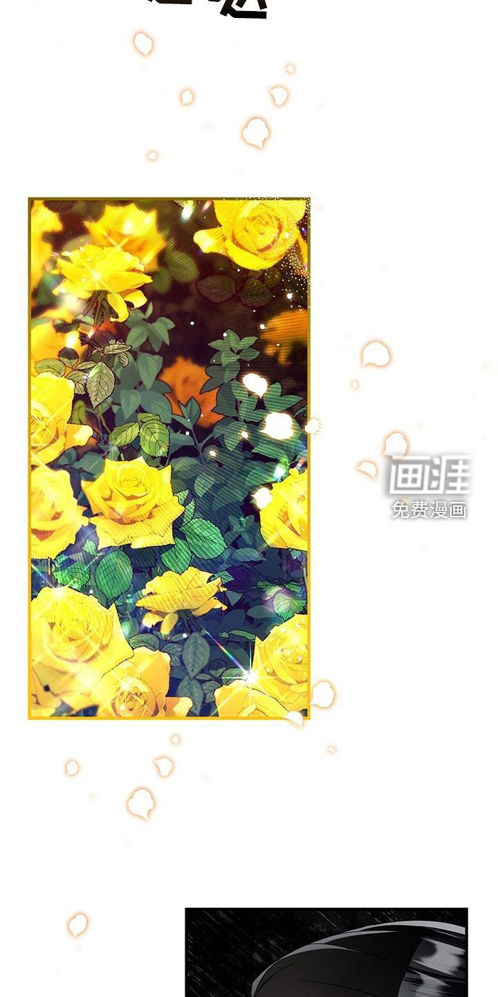 第88章：最爱的人
