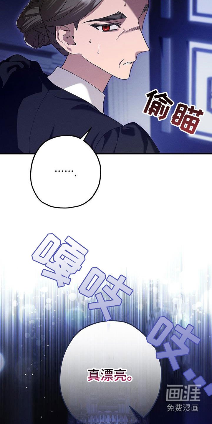 第88章：最爱的人