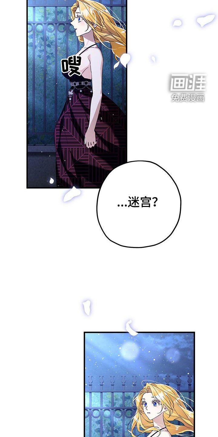 第95章：迷宫