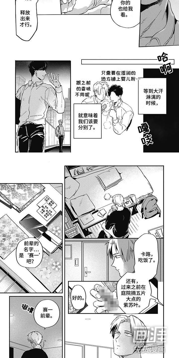 第7章：折纸