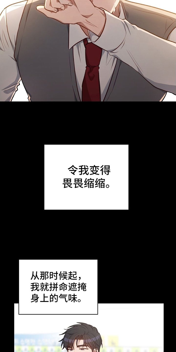 第2章：掩盖