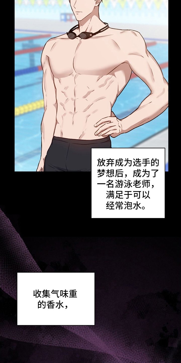 第2章：掩盖