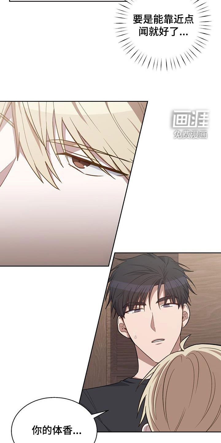 第20章：腥味