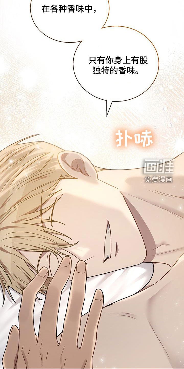 第37章：味道