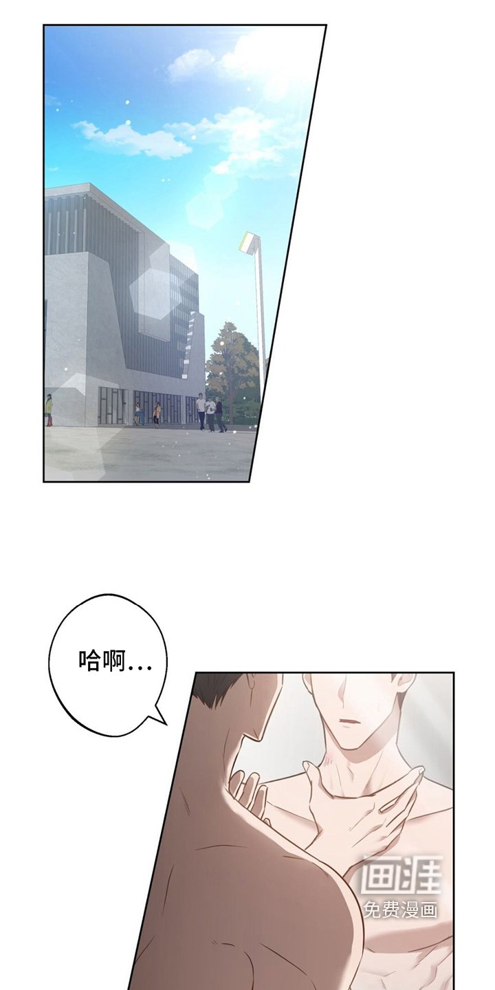 第5章：决心