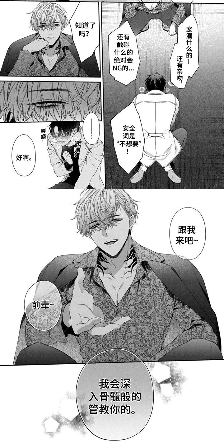 第3章：发誓