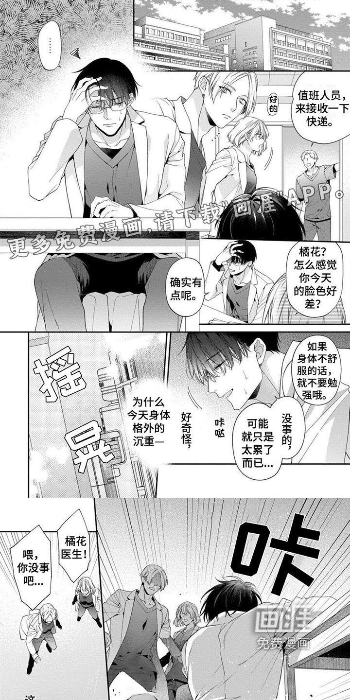 第5章：分析