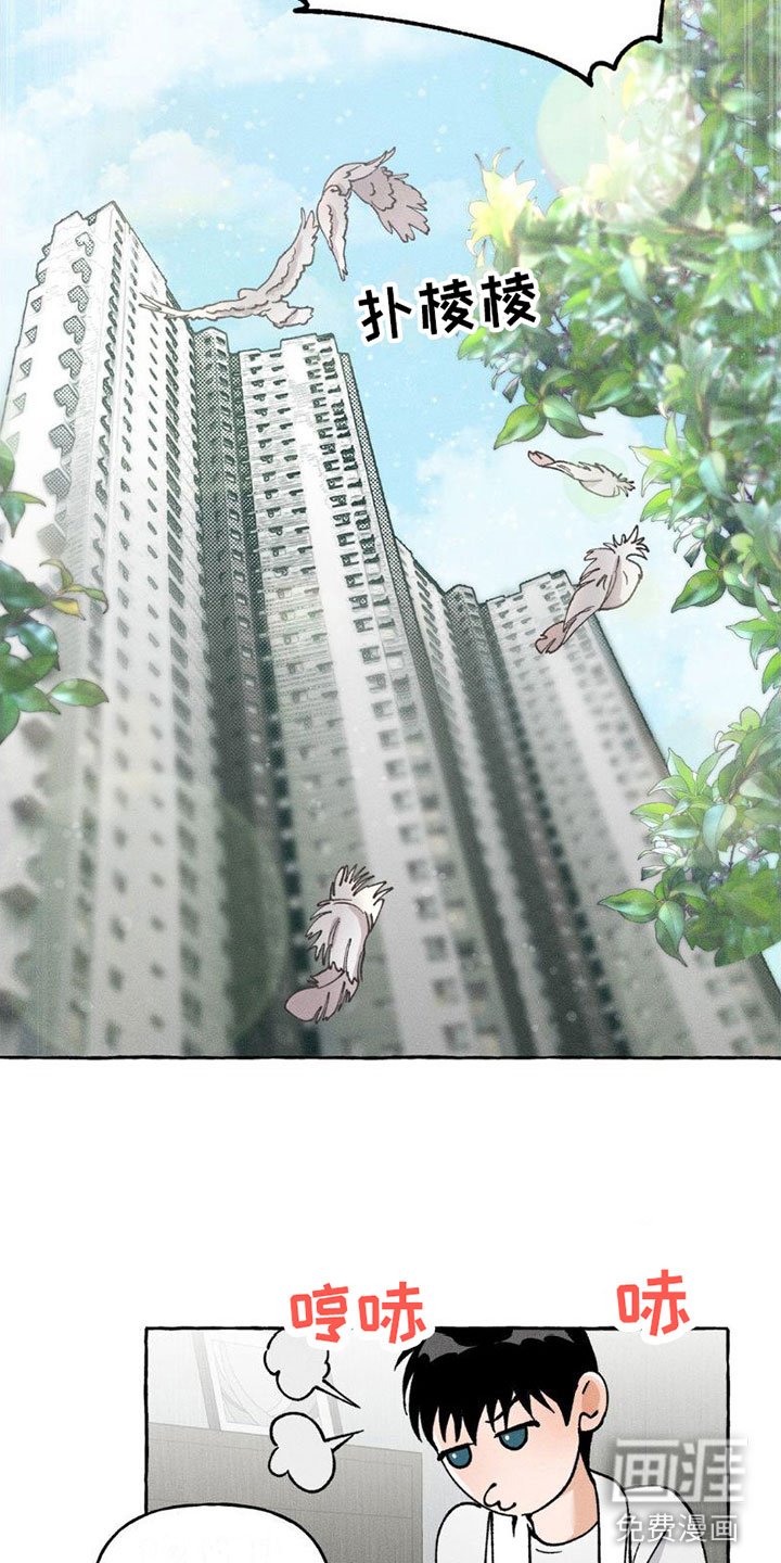 第8章：顺利解决【完】