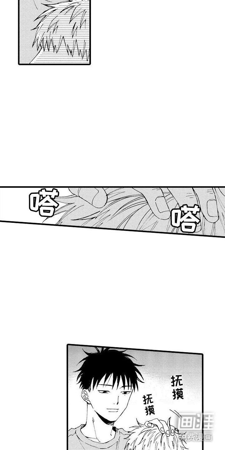 第13章：拍照