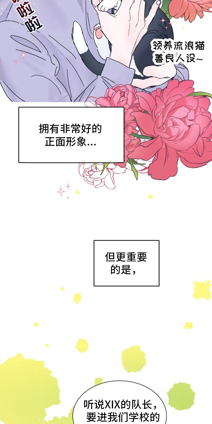 第2章：关注