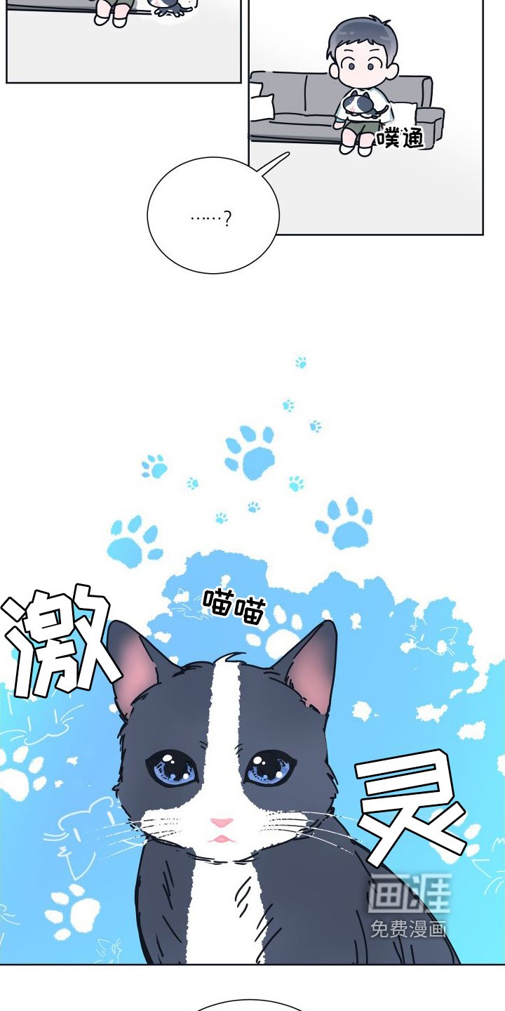 第6章：很像