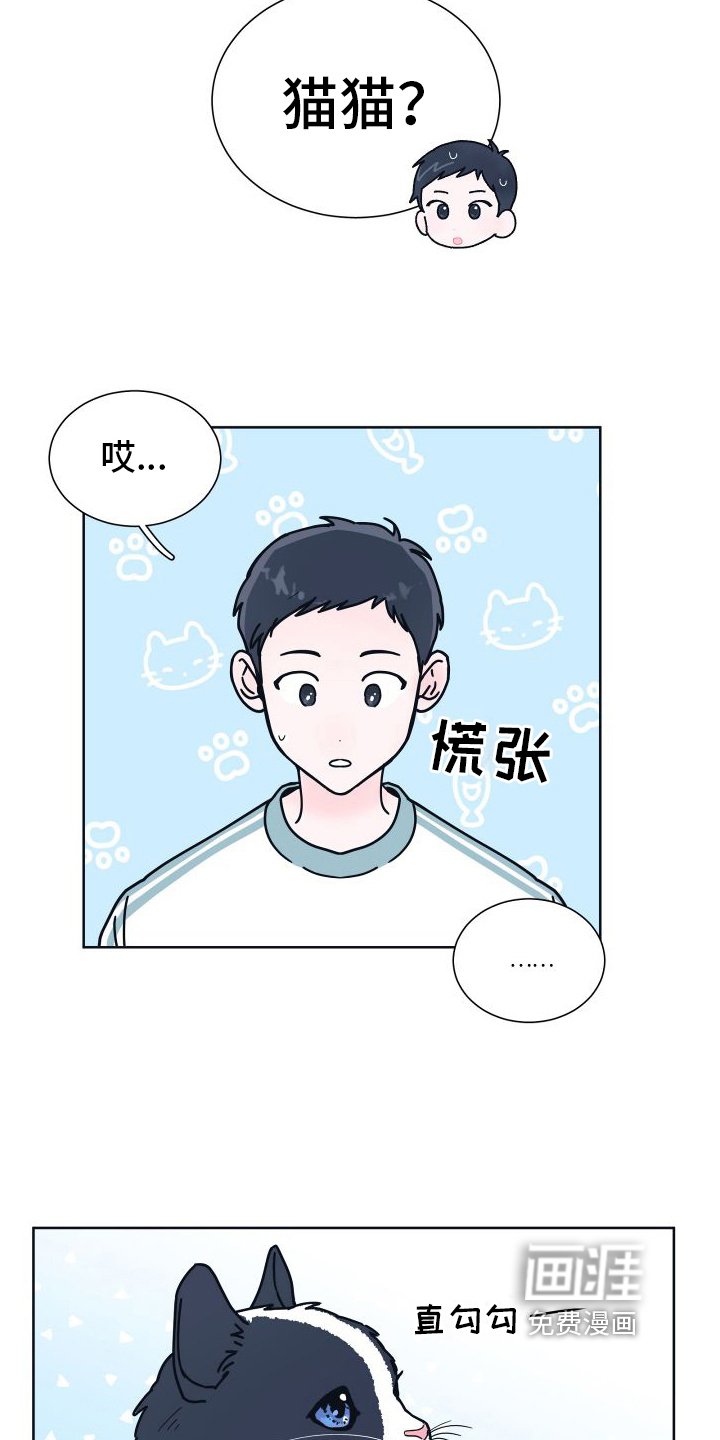 第6章：很像